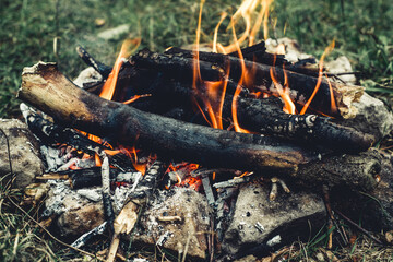 fire in the woods close-up