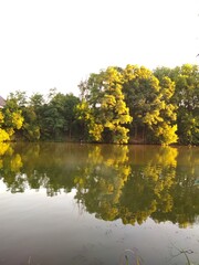 View on autumn landscape of river and trees in sunny day
