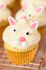 Baking cupcakes