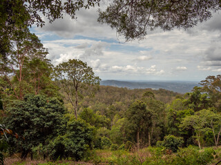 Fototapeta na wymiar Rain Forest View to Distant Hills