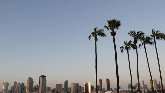 Metropolis urban skyline, highrise skyscrapers, San Diego Bay, California USA. Pacific ocean harbour in sunset light, view from Coronado island. City downtown buildings and silhouettes of palm trees.