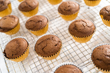Chocolate raspberry cupcakes