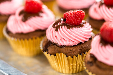 Chocolate raspberry cupcakes