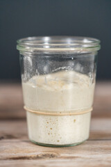 Sourdough starter