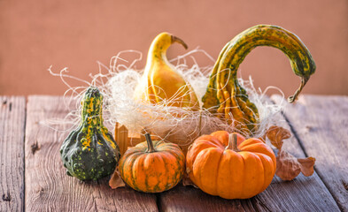 pumpkins on wooden background, autumn still life