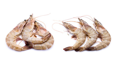 Fresh shrimp on white background