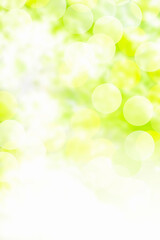 新緑