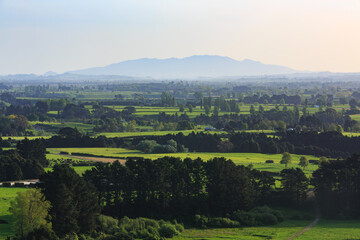 Fototapeta na wymiar A view across the farmland of the Waikato Region, New Zealand, on a summer day. Rising out of the haze on the horizon is Maungatautari, or Sanctuary Mountain