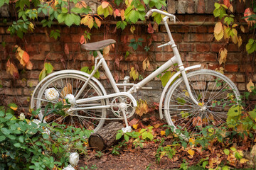 Decorative white vintage bicycle against brick wall. Old bicycle parked against a stone wall in garden. Street decoration backyard. Autumn garden corner. Patio of house with garden plants and bicycle.