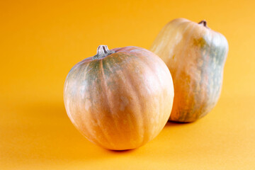 Two beautiful orange pumpkins on a yellow-orange gradient background. Front view, space for text. Autumn, holidays. Healthy food.