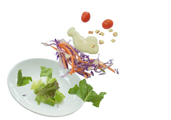 fresh vegetable salad topping crispy bread dressing mayonnaise sauce floating on plate in white background