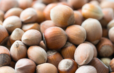 Healthy food for background image close up hazelnuts. Nuts texture on top view on the cup plate.