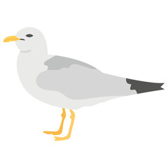 
A beautiful bird with yellow beak depicting  pelicans 
