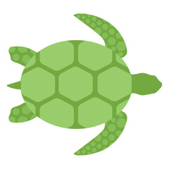 
Sea turtle with a green shell
