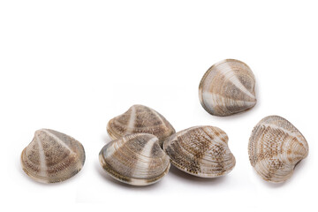  clams group