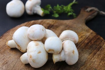 Whole Fresh white button mushrooms or Agaricus or champignon mushrooms on a rustic wooden chopping board. over black background. food Product photo with copy space.