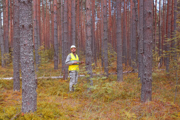 A forest engineer works in the forest. Working in forestry. Forest taxation. Forest certification.