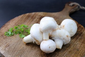 Whole Fresh white button mushrooms or Agaricus or champignon mushrooms on a rustic wooden chopping board. over black background. food Product photo with copy space.