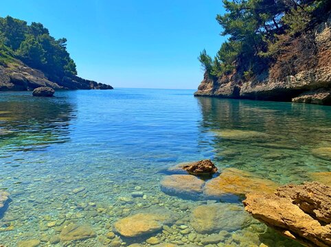 tropical island with pebble beach and crystal clear turquoise calm sea water surrounded pine tree coniferous forest over blue heaven, Mediterranean rocky coast Montenegro, summer vacation and holidays