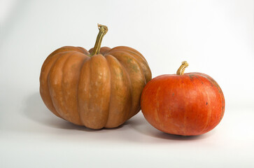 A large pumpkin and a small orange one on a white background.