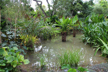 in the singapore botanic gardens 