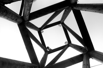 black and white photo