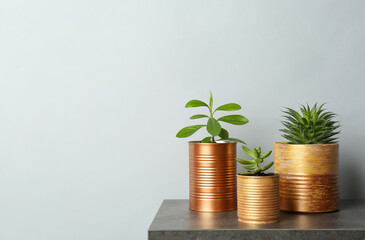 Fototapeta na wymiar Beautiful houseplants in tin cans on grey stone table. Space for text