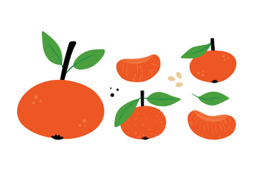 Set, collection of vector cartoon tangerine, clementine, mandarin orange with leaves and slices isolated on white background. 
