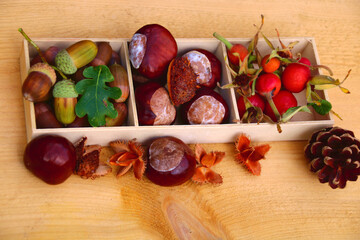  bastelmaterial  herbstdeko