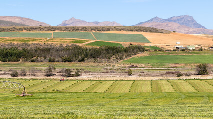 Fototapeta premium A countryside farming scene with green cultivated fields and blue sky
