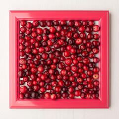 Cranberries, wild berries. Cranberry background. Wild berry of cranberries.