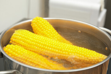 Pot with boiling corn cobs in kitchen, closeup