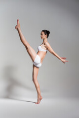 Obraz na płótnie Canvas elegant ballet dancer with leg up