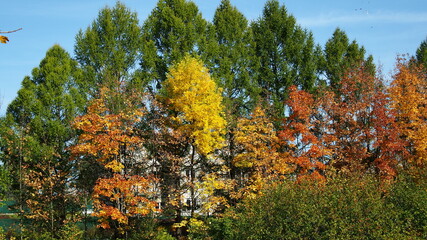 Autumn landscape. Vyatka nature