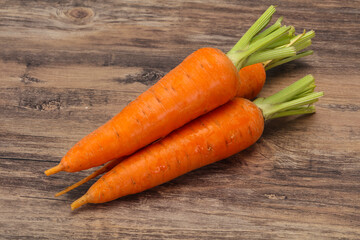 Three Young fresh ripe carrot