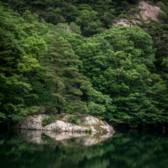 Tree on rock in the middle of a peacefull lake