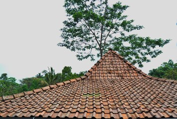 roof of the house