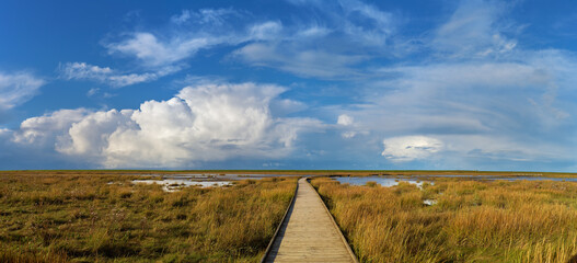 panorama of vivid blue sky with different kinds of clouds over the boardwalk at Langwarder Groden...