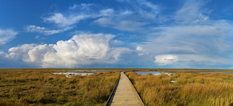 panorama of vivid blue sky with different kinds of clouds over the boardwalk at Langwarder Groden at the North Sea coast (Germany) on a sunny autumn day