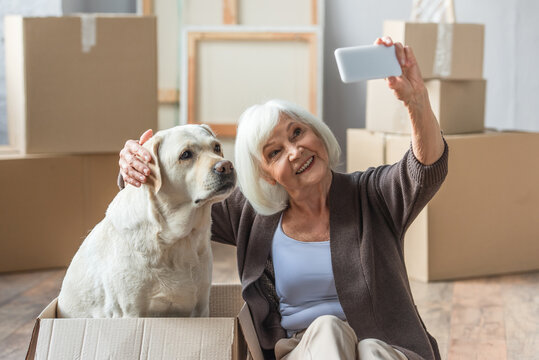 Senior Woman Taking Selfie With Dog Sitting In Box