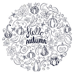 A large set of cozy fall elements. Pumpkins, slices, leaves and seeds. Lettering "Hello autumn". Isolated vector objects on a white background. Hand drawn plants in Doodle style. 