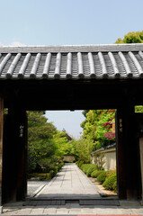 大徳寺芳春院の門