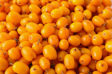 Ripe sea buckthorn berries as background, closeup