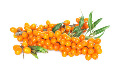 Sea buckthorn branches with ripe berries and leaves on white background