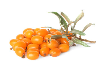 Fresh ripe sea buckthorn berries and leaves on white background