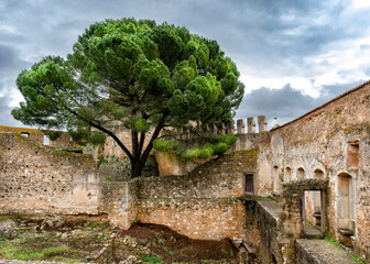 Tree Amidst Outdoor Ruins With Cloudy Skies. Templar Castle/Convent Of Christ, Tomar, Portugal.