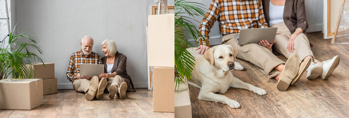 collage of senior couple sitting on floor with laptop and husband petting dog, moving concept