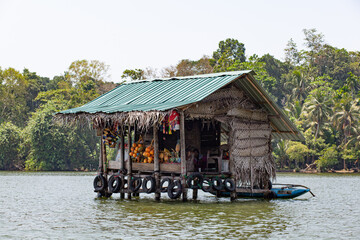 Fototapeta na wymiar A wooden thatched house stands on stilts in the middle of a river in a tropical forest.