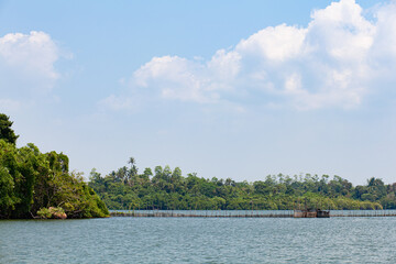 Fototapeta premium Shrimp farm above water in the jungle in the rainforest.