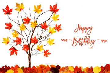 Branches Building Tree With Bright Colorful Leaf Decoration. Red And Yellow Leaves On The Ground. English Calligraphy Happy Birthday On White Isolated Background
